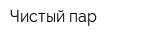 Чистый пар