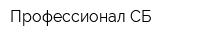 Профессионал-СБ