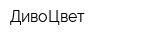 ДивоЦвет