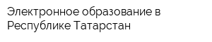 Электронное образование в Республике Татарстан