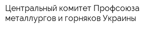 Центральный комитет Профсоюза металлургов и горняков Украины