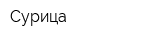 Сурица
