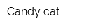 Сandy cat