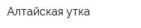 Алтайская утка