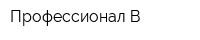 Профессионал-В