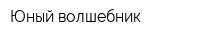Юный волшебник