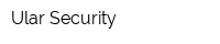 Ular-Security