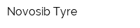 Novosib-Tyre