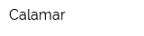 Calamar