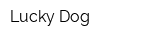 Lucky Dog