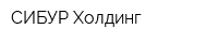 СИБУР Холдинг