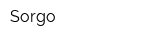 Sorgo