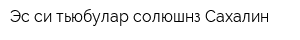 Эс си тьюбулар солюшнз Сахалин