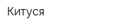 Китуся