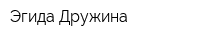 Эгида Дружина