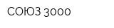 СОЮЗ-3000