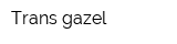 Trans-gazel