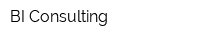 BI-Consulting
