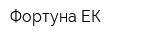 Фортуна-ЕК