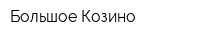 Большое Козино