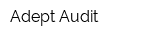 Adept Audit