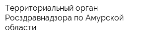 Территориальный орган Росздравнадзора по Амурской области