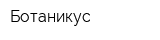 Ботаникус