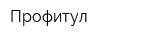 Профитул