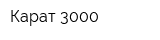 Карат-3000